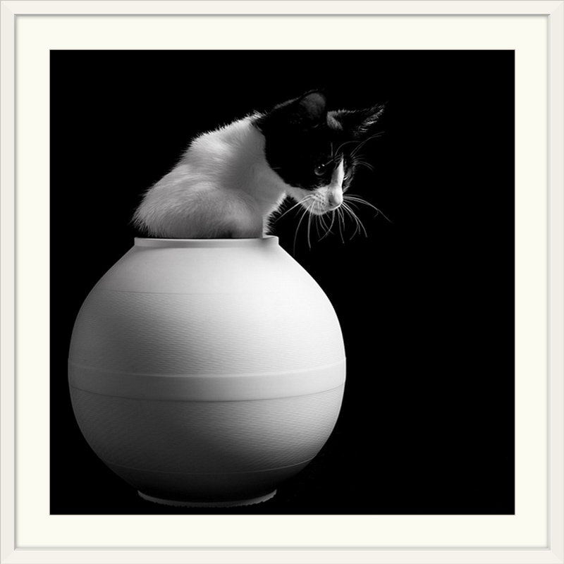 «Straub Chanel» par Pierre Fleischmann, reproduction de photo, Cadre blanc, H 28 x l 28 po x P 1 po