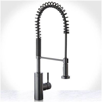 1.75 GPM Single Hole Pre-Rinse Kitchen Faucet