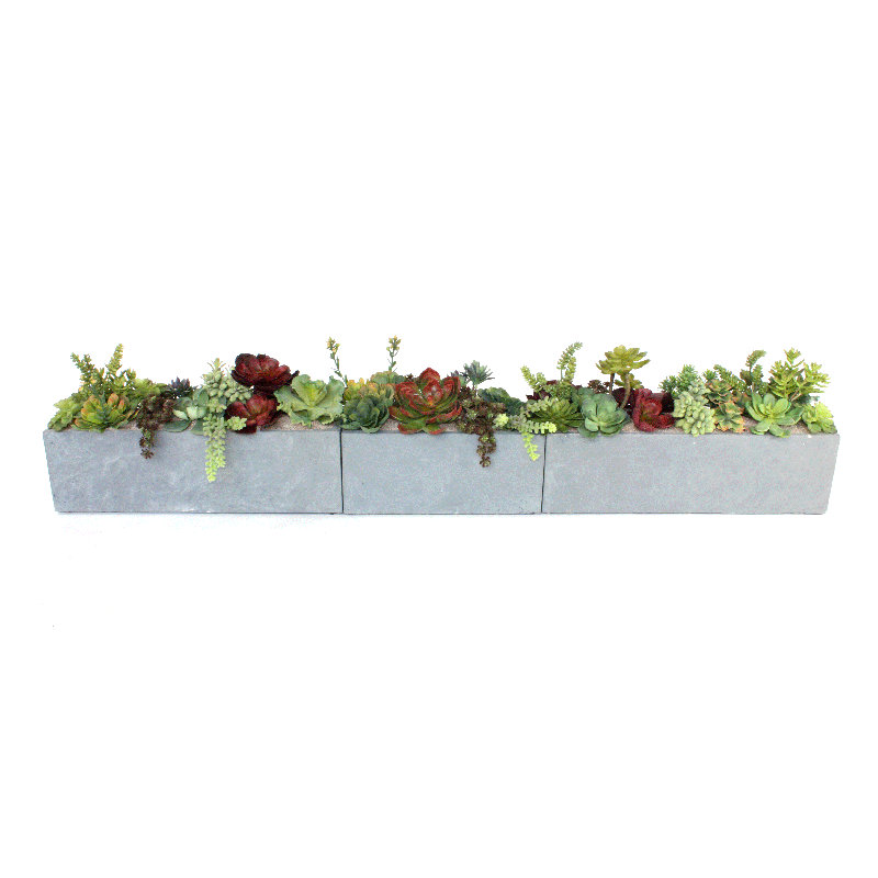 Faux Succulent Plant in Planter