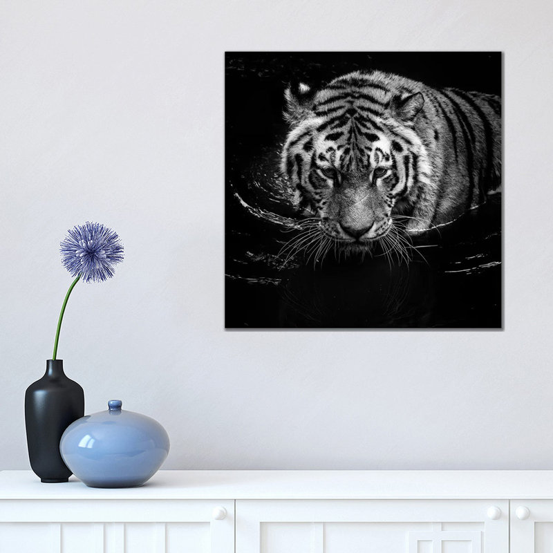Tiger In Water, Black And White by Lukas Holas - Wrapped Canvas Print, 45.72 cm H x 45.72 cm W