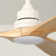 Karlena 52'' Ceiling Fan with LED Lights and Remote Control