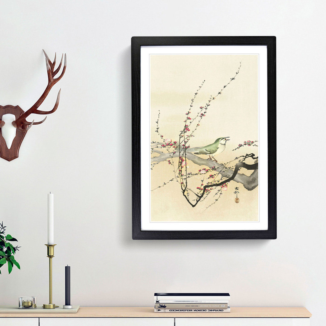 Songbird in a Plum Blossom Tree by Ohara Koson - Framed Print
