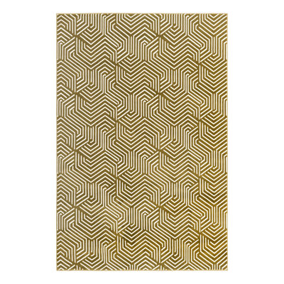 Echo Olukemi Rug