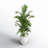 Faux Palm Tree in Ceramic Planter-1603363535-1604921342