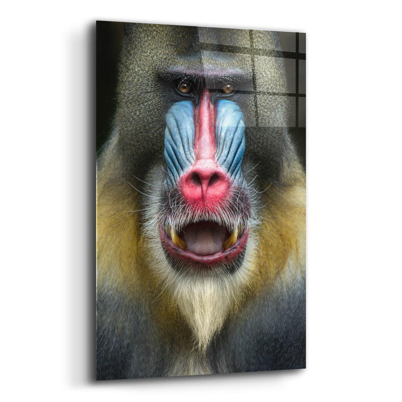 " Mandrill 2 " by SD Smart, 24" H x 16" W x 0.2" D