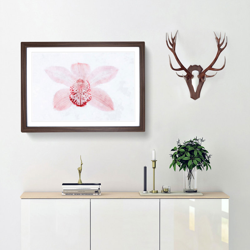 Light Pink Boat Orchid - Picture Frame Graphic Art Print, 24cm H x 33cm W x 2cm D, Walnut Framed