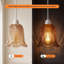 Glass Lamp Shade-1762953060