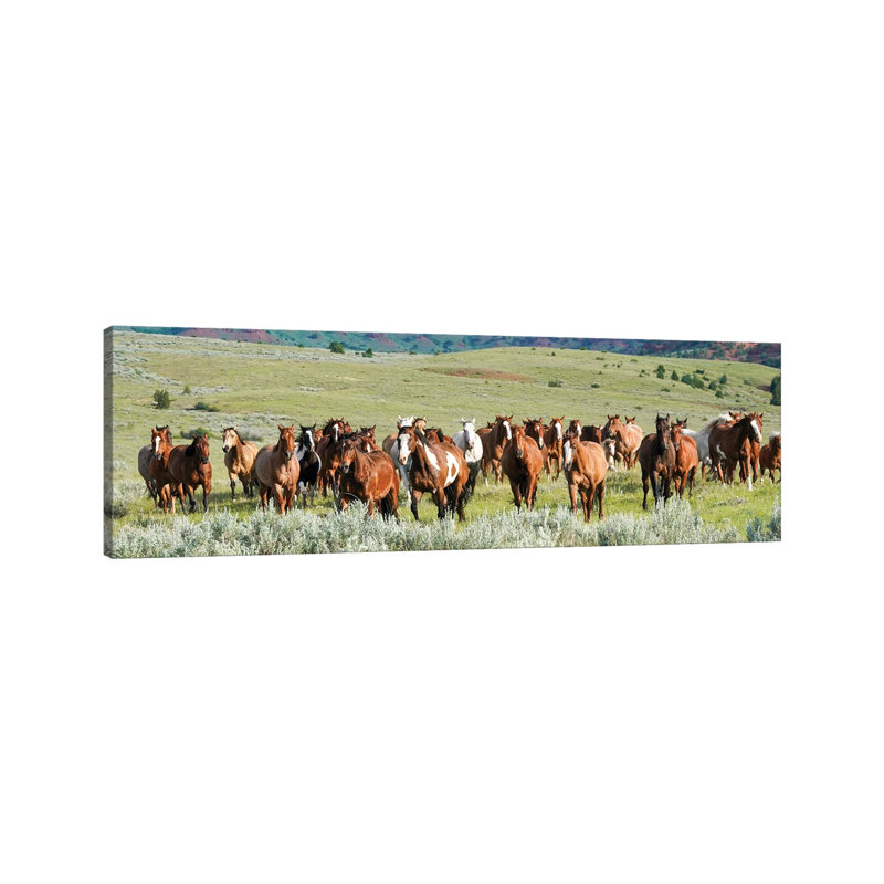 Band On The Run by Rhonda Thompson - Wrapped Canvas Panoramic Print, 30.48 cm H x 91.44 cm W x 1.91 cm D