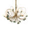 Coyle Logan 24 - Light Chandelier