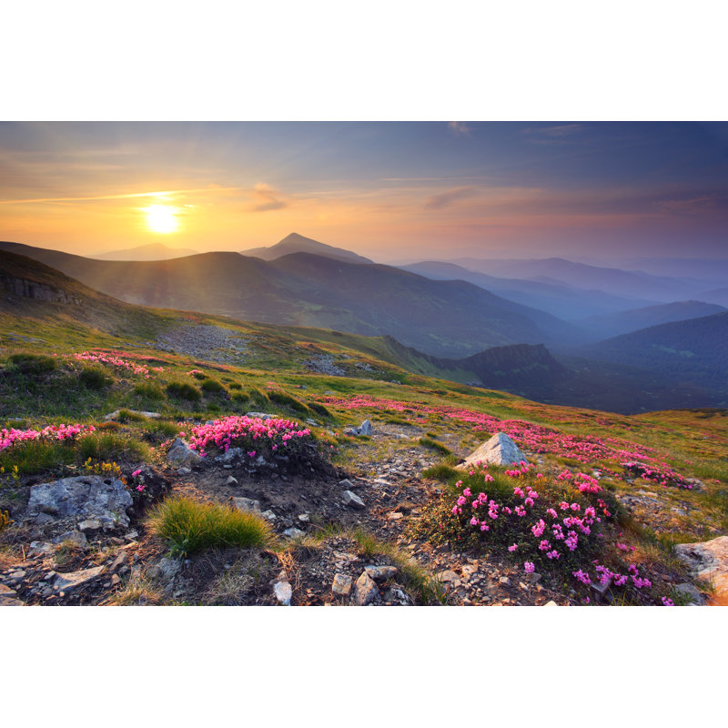 Misty Morning - Photographie sur toile tendue, H 24 po x l 36 po x P 1,25 po