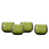 Textured Palm Green selected