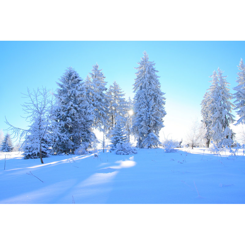 Forbush Winter Landscape - Wrapped Canvas Print, 30cm H x 46cm W 3.8cm D