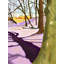 Hill With Crocus Print by Evan Sklar-65826025-65851557