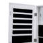 Hieu Freestanding Jewelry Armoire