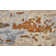 Casual Abstract, Ivory/Blue/Brown Area Rug