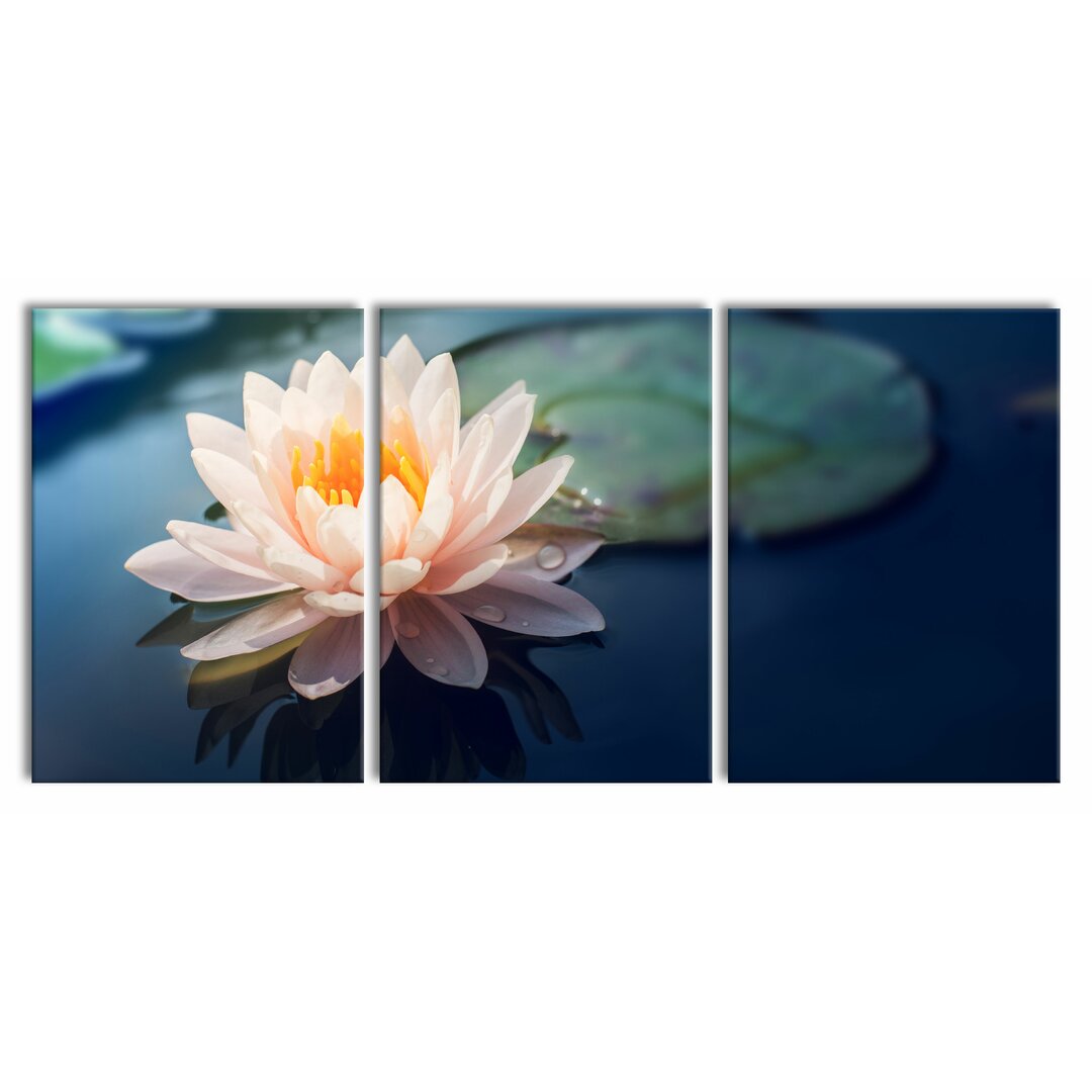 3-tlg. Leinwandbilder-Set Pink Lotus Flower on a Pond