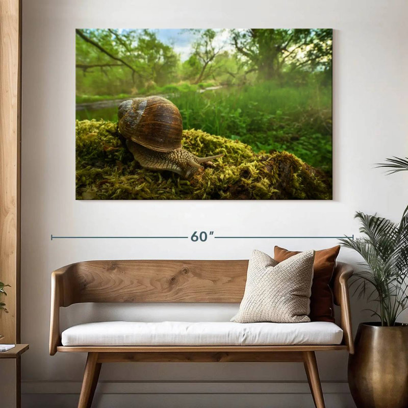 Escargot de jardin romain, H 34 po x l 51 po