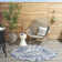 Adames Floral Indoor / Outdoor Rug