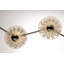Peony 4 - Light LED Wallchiere