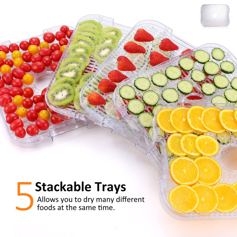 5 Trays Food Dehydrator Machine Adjustable Timer 300W Jerky Fruit Drying