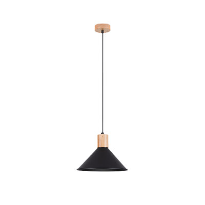 1 - Light Stainless Steel Pendant
