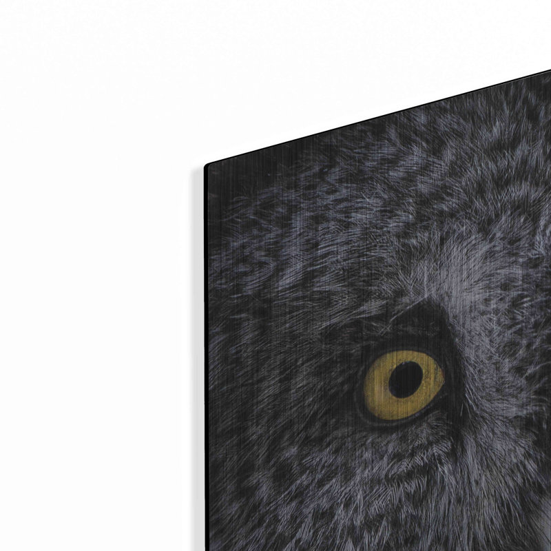 «Great Grey Owl» par Nathan Larson - reproduction de dessin non encadrée, H 24 po x l 24 po x P 0,13 po