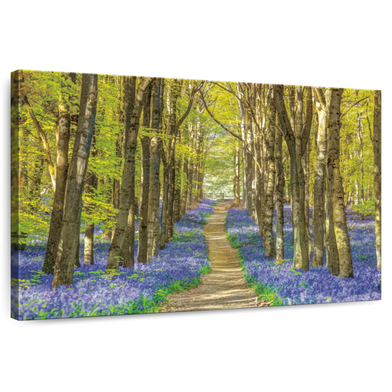 Forêt des jacinthes, H 16 po x l 24 po