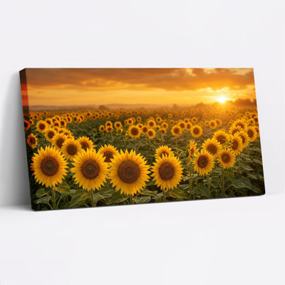 Ensemble de 1 tableau sur toile représentant un champ de tournesols