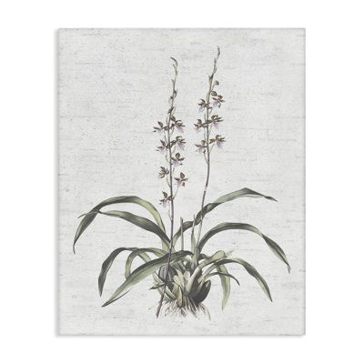 "Blooming Herb Bud", art mural sur toile par lettré et doublé