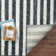 Pacer Striped Indoor Rug