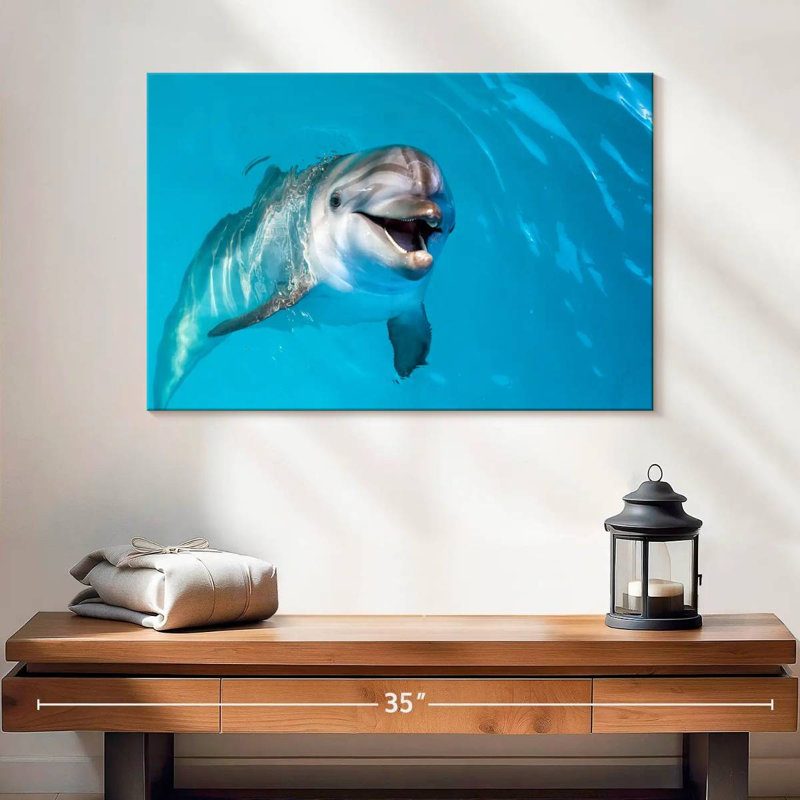 Brampt Dolphin's Smile, 16" H x 24" W