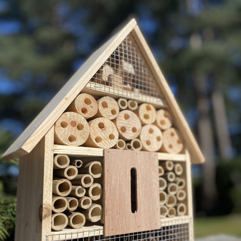 Izaguirre Freestanding Bumblebee House