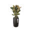 Pure Beads Pot Planter-48811436-48811440