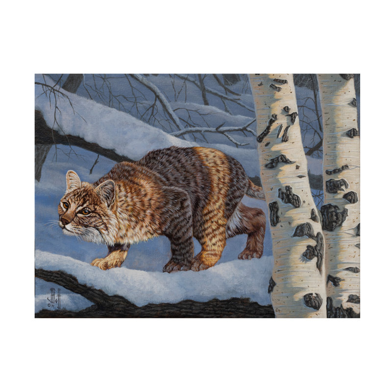 «Jeff Hoff Snowy Forest Bobcat», art sur toile, H 14 po x l 19 po