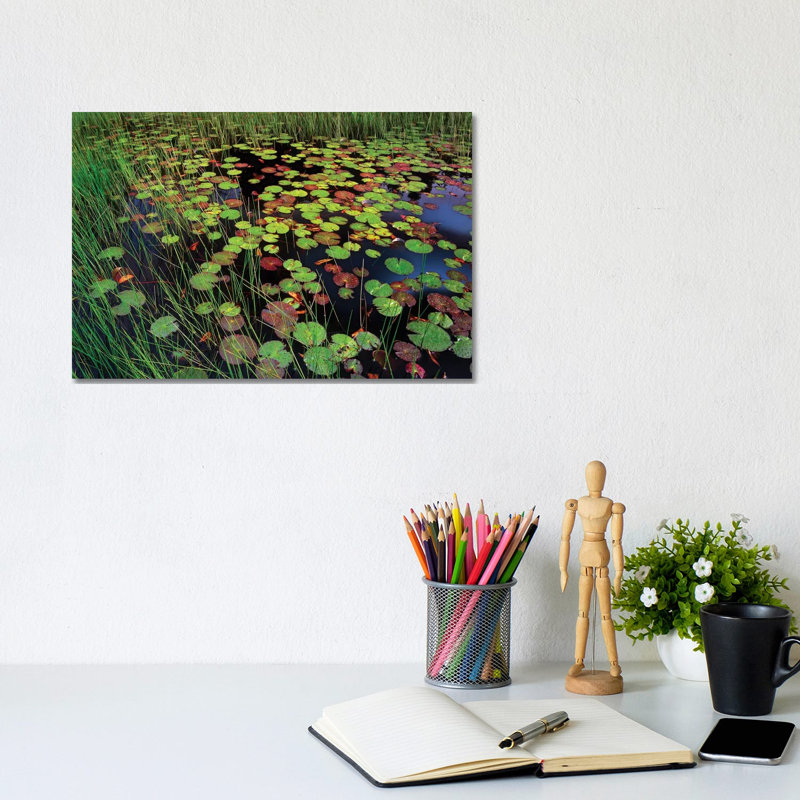 Pond with Lily Pads and Grasses 1 Piece Wrapped Canvas Wall Art, 20.32 cm H x 30.48 cm W