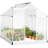 250" x 190" Greenhouse