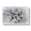 Dandelion Seeds In Blue & Pink - Wrapped Canvas-56640710