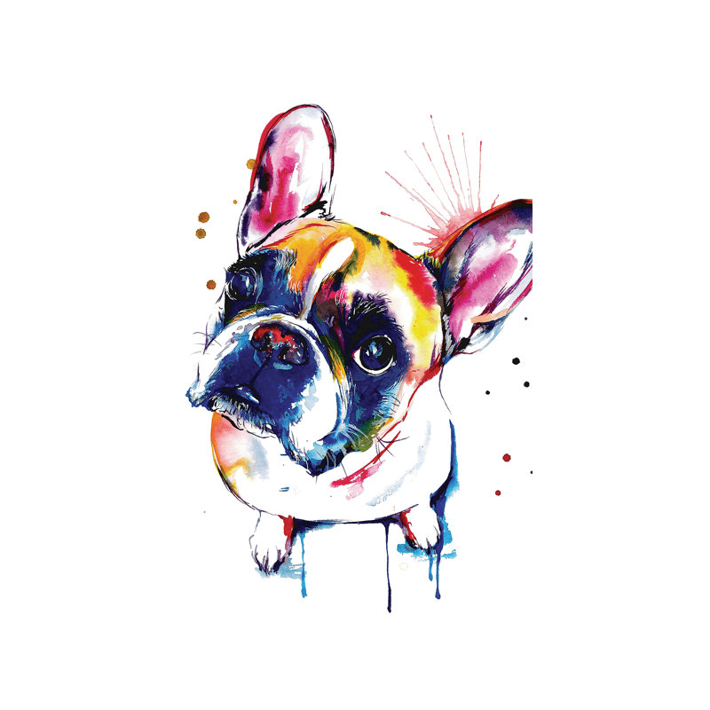 Frenchie Ii by Weekday Best - Painting on Canvas, 66.04 cm H x 45.72 cm W x 3.175 cm D