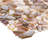 Baroque 12" x 12" Seashell Mosaic Wall Tile