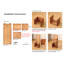 64cm H x 24cm W Bamboo Bookcase