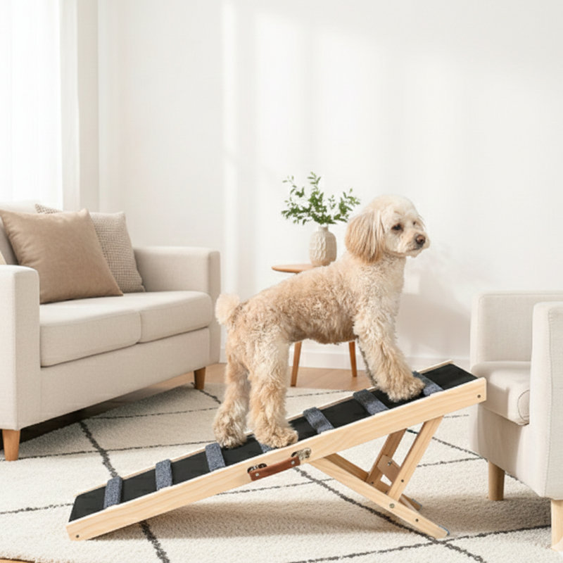 Rampe réglable pour chien, lit et voiture