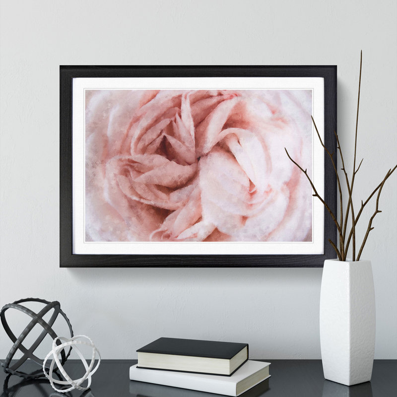 Petals of a Pink Carnation - Picture Frame Graphic Art Print, 33cm H x 45cm W x 2cm D, Black