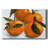Citrus Grouping II-Gallery Wrapped Canvas-370234893