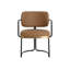 Upholstered Arm Chair