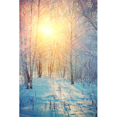 Winter Birch Forest - Wrapped Canvas Print