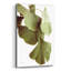 «Ginko Color on White» par Debra Van Swearingen - photographie sans cadre-1053160276