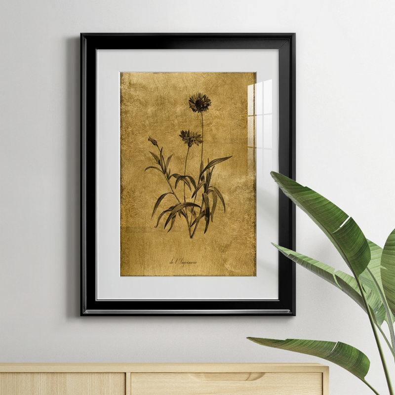Croquis doré Botanique I - Cadre photo, reproduction d'art sur papier, H 30,5 po x l 22,5 po x P 1,5 po, Noir