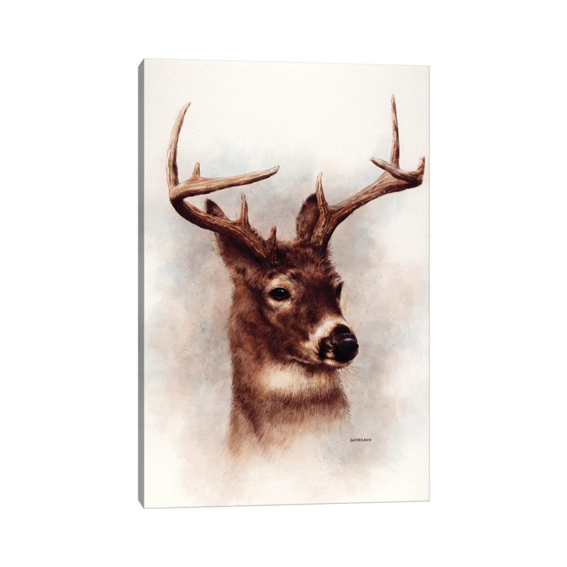 Whitetail Portrait - Wrapped Canvas Print, 20.32 cm H x 30.48 cm W
