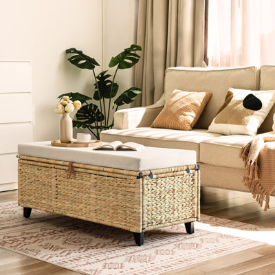 Leimomi 43.3" Flip Top Wicker Upholstered Storage Bench with Detachable Cushion