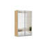 Caracas 3 Door Sliding Wardrobe-1283860263-1283860270-1300696541